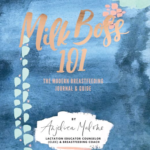 The Modern Breastfeeding Journal and Guide